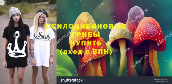 2c-b Верхний Тагил